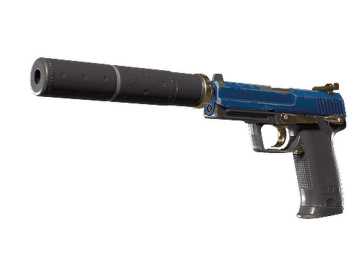USP-S | Royal Guard (Well-Worn)