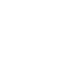ICY's team logo