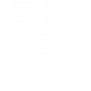 stanislaw's team logo