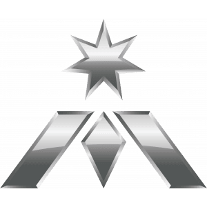 Team Immunity logo