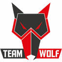 MTS GameGod Wolf logo