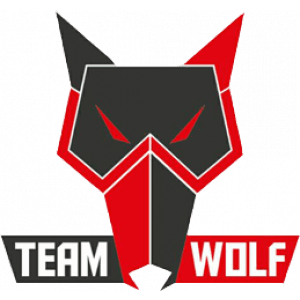 Ace's team logo
