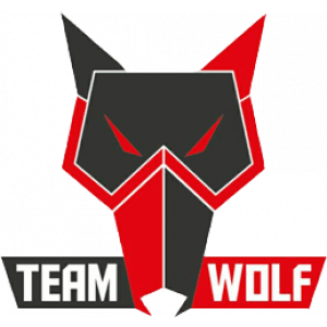 MTS GameGod Wolf logo