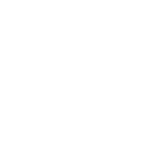 Team LDLC.com logo