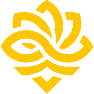 b4rtiN's team logo