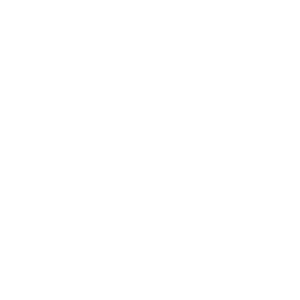 North logo