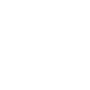 DEVIL's team logo