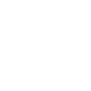 SK Gaming logo