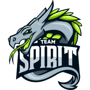 Team Spirit logo