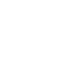 TSM Kinguin logo