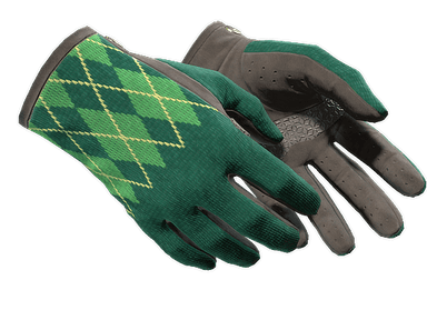 ★ Driver Gloves | Hand Sweaters (Minimal Wear)
