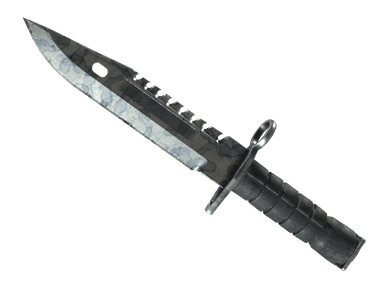 ★ M9 Bayonet | Stained (Well-Worn)