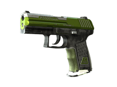 StatTrak™ P2000 | Turf (Field-Tested)