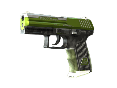 StatTrak™ P2000 | Turf (Minimal Wear)