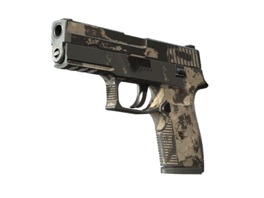 Souvenir P250 | Black & Tan (Battle-Scarred)