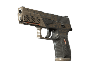 P250 | Bullfrog (Minimal Wear)