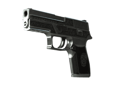 StatTrak™ P250 | Cartel (Field-Tested)