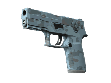 P250 | Forest Night (Minimal Wear)