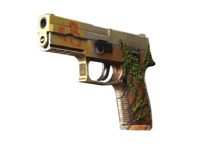 StatTrak™ P250 | Inferno (Factory New)