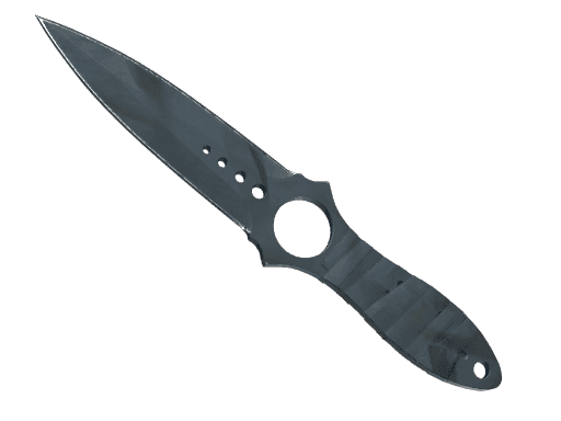 ★ Skeleton Knife | Night Stripe (Well-Worn)