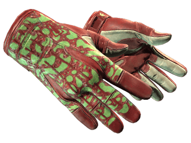 ★ Sport Gloves | Bronze Morph (Factory New)