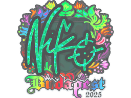 Sticker | NiKo (Holo) | Budapest 2025