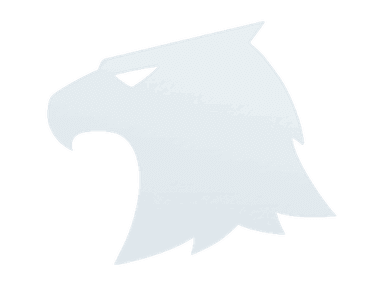 Sticker | Raptors