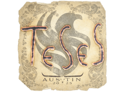 Sticker | TeSeS | Austin 2025