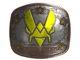 Sticker | Vitality (Foil) | Austin 2025